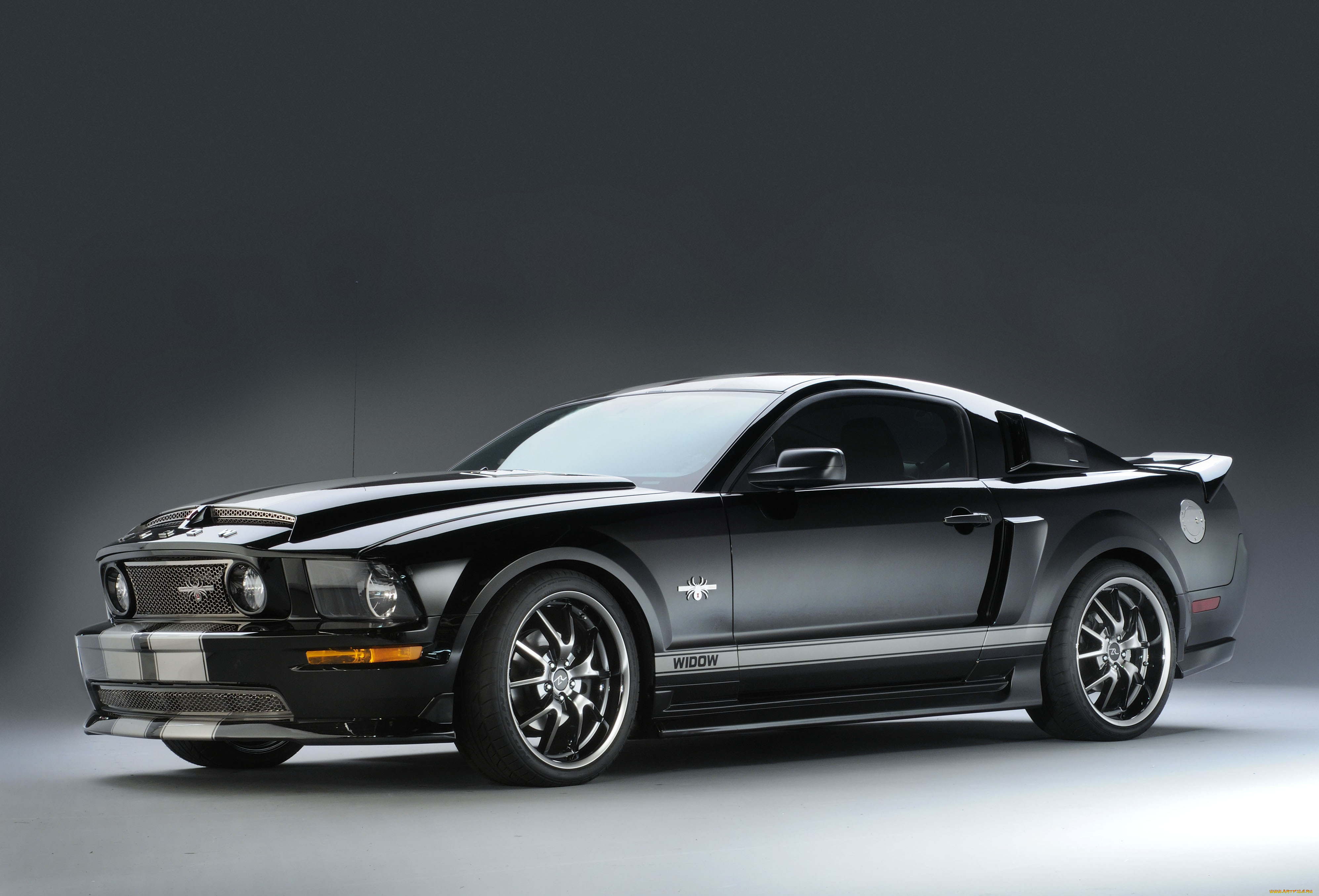 Black ford. Форд Мустанг 2009. Форд Мустанг ГТ 2009. Форд Мустанг черный. Ford Mustang Shelby 2009.